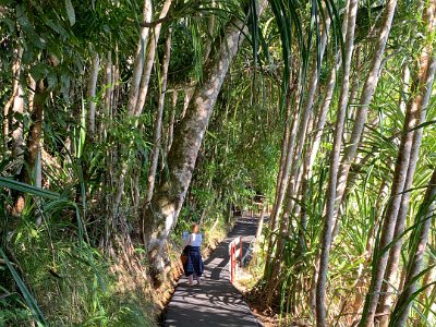 Once again, we marvel how Queensland parks cater to the needs of the disabled.