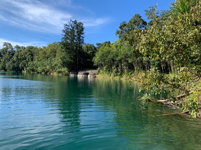 "Lake Eacham (Yidyam) was formed over 9,130 years ago when molten magma from the Earth's mantle rose to the surface and heated the water table. The steam that resulted from the boiling water was trapped underground, until massive explosions signalled its release. Huge cracks appeared in the ground and the trees that once grew on the mountainside were levelled and burnt. Eventually, after the eruptions ceased, groundwater filled the crater and the trees grew back  creating the tranquil lake we see here today."