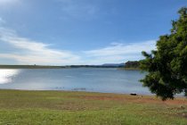 Dam the river, use the water rather than let it escape into the sea. No argument, but why decimate the natural forest that once grew in this area?