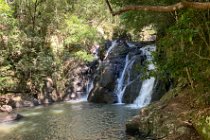 We follow the path down that leads to the Barron River Falls.