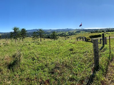 We climb through tropical rain forests to Millaa Millaa at the top of the Atherton tablelands. On the way we see road signs advising us to be watchful of tree kangaroos and cassowaries. We're definitely not in Kansas any more.