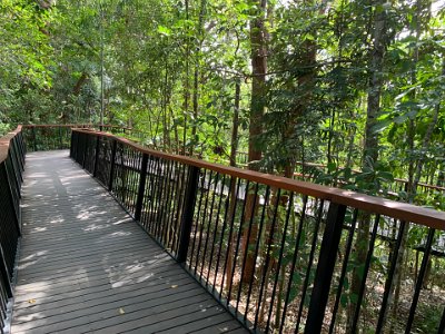 It is a 650 metre walk to the lookout overlooking the falls.