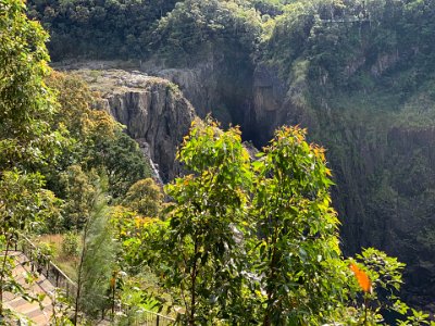 There they are, our first glimpse of the Barron River Falls.