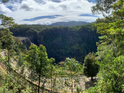 As we get to the lower levels, the eucalypts start to appear. The noise of the falls becomes louder