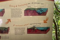 100 mya Australia still linked to Antarctica (Dinosaurs)-  80Mya Australia breaking away from Antarctica - 65Mya Late Cretaceous Period - (end of dinosaurs)  : Volcanoes cause upwelling with the eastern side dropping into Coral Sea    65 Mya to present (Cenozoic era) Coastline wears away but at end of ice age 6000 years ago, sea levels rise to form current coastline.