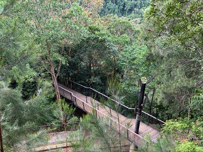 We get a glimpse of the Cairns - Kuranda railway line.