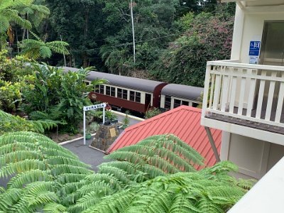 The foliage is impressive and there's even a lift for disabled passengers - typical Queensland.