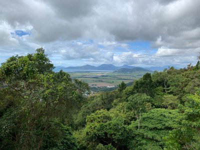 We continue our journey into Cairns, losing altitude as we descend from the Barron River Gorge to sea level.