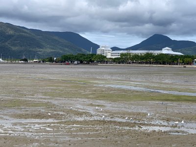 Early photos reveal that the Esplanade was once a sandy beach, similar to other Cairns beaches to the north. Dredging of the Grafton Channel for shipping resulted in mud completely covering the sandy beach because the sediment gathered during the dredging process was dumped offshore and promptly swept back in to silt the inlet and cover the Esplanade beach with mud.