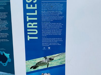 We're right opposite the Cairns Aquarium so I take a few pictures of the posters outside.