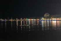 The tide has come back in and a pod of pelicans (I looked up what the collective noun is) is peacefully floating on the water, a little way off shore, perhaps sleeping after a hard day's  fishing.