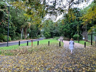 The next morning, we leave our hotel a bit after 7:30 and head for the Cairns Botanical Gardens. Like everything else in this city, the gardens are lush and green.