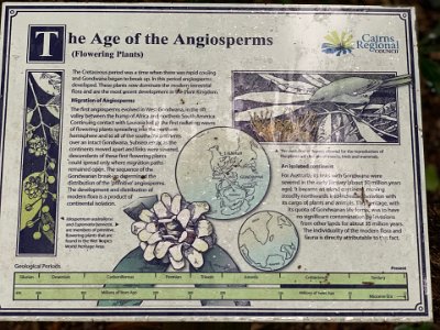 The garden's story begins when Gondwana separates from Pangea and follows the eventual breakup of the land masses of Gondwana into their present day positions.