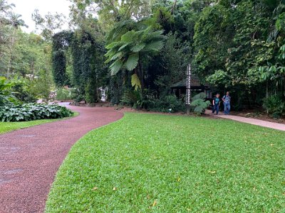 Our journey begins at the Gondwanan Evolution Garden.