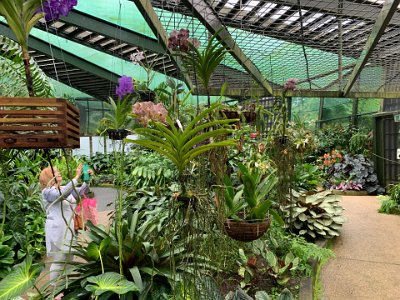 We enter the new conservatory in the Flecker Gardens. It was was officially opened on 4 September 2015 and showcases many of the Cairns Botanic Gardens'  most spectacular plant species.