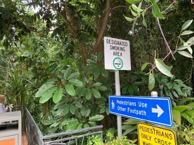 We cross the road and enter the Fitzalan Gardens named after Mr Eugene Fitzalan, the first caretaker (1886-1897) of the Botanic Gardens.