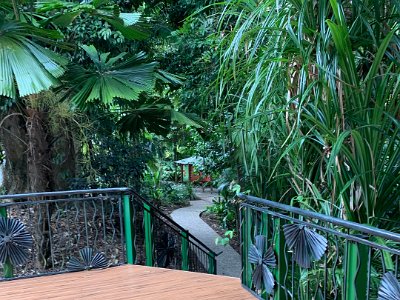 The area comprises three separate gardens connected by paths and footbridges, and houses a small water lily pond, giant mature palms and trees planted many years ago.