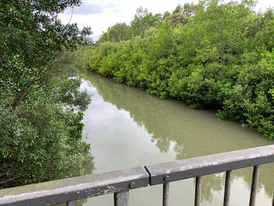 At the end of the boardwalk, we cross a saltwater stream.