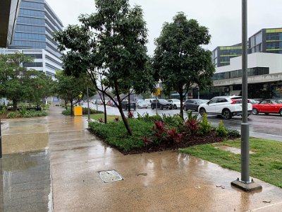 After finishing our hamburgers, we cross the road back to the car park and it is now raining quite heavily.