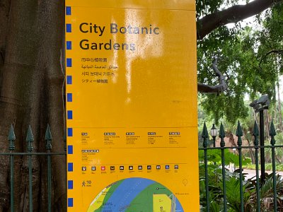 The botanic gardens occupy premium land right up to the Brisbane River.