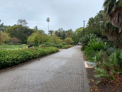 The gardens are beautifully maintained. One of our lasting images of Queensland is the number of gardens in every city and how immaculate and tidy they are.