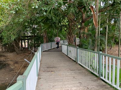 Twenty Kms down the road from Townsville, we stop at the Billabong Sanctuary. We've left the wet tropics and we're in the dry tropics where the bushland is more typically outback Australian (or sclerophyll - more later).