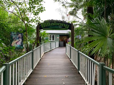 "The sanctuary is a permanent home to over 100 species of Australian mammals and reptiles such as kangaroos, wallabies, koalas, wombats, crocodiles, and birds including parrots and cassowaries. In addition, the natural billabong (lake) at the centre of the sanctuary is host to many visiting animals, some of which will breed and raise their young at the sanctuary. Visitors to the sanctuary can take guided or self-guided tours through the 11-hectare (27-acre) natural tropical bush."