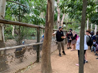 This was great. An aboriginal guys gives a very humorous talk about the cassowaries behind the fence. Look at all these trees, ferns and plants; all had been planted back over 30 years ago.