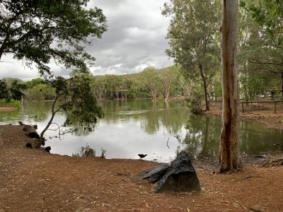 We walk around the lagoon to the opposite side from where we entered. A lone water hen strides along the foreshore.