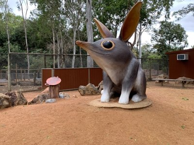 "Bilbies are solitary, nocturnal marsupials, spending daylight hours in their deep, spiral shaped burrows and emerging at night to forage for plant roots, bulbs, fungi, grass seeds, termites, ants, beetles, insect larvae and spiders."