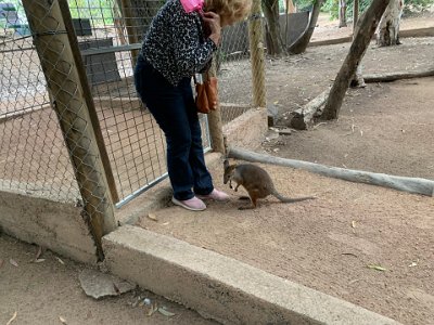 He gets a severe talking to and looks remorseful.  What beautiful little animals.