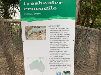 Did you know?   Freshies do not have the same notoriety as estuarine crocodiles because they don't kill people    Found only in Australia, they avoid the coast and their territorial and aggressive cousins, the "salties"    All crocodiles have rows of bony back plates called 'osteoderms'. Each osteoderm acts as a solar panel, helping these ectothermic animals regulate their body temperature.    Rarely exceeding 3m in length, freshies use their long slender snout to forage for prey like insects, fish, frogs and yabbies