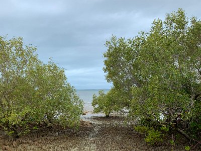 This is why frightening politicians with talk of climate change eliminating coal mining jobs falls on deaf ears. Bowen is also a key entry point to the Whitsundays, a group of islands off the coast famed for its access to the Great Barrier Reef.