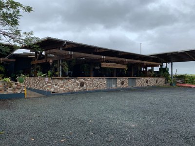 Forty five minutes later, we stop at a coffee plantation outlet. Coffee grown in Australia? This is Whitsunday Gold, a coffee plantation with 140,000 Arabica coffee trees.