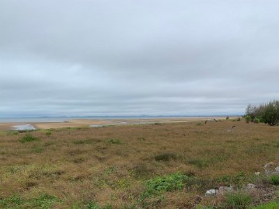 We get to Mackay Beach and, other than houses along the street frontage, it is completely undeveloped commercially.