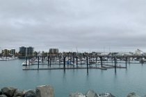 The next morning, before breakfast, we decide to go to North Mackay where Joan assures us that we can get a great breakfast.  However, we find ourselves on a MASSIVE breakwater that creates an artificial harbour. Part of the breakwater shelters a large privately owned marina.