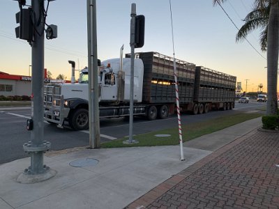 We are in the "dry tropics" now and beef cattle is an important industry in this area with Rockhampton promoting itself as  The Beef Capital of Australia.   A 'B' Double cattle carrier makes its noisy way through town.