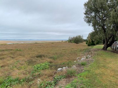 We're at Mackay Beach on the southern side of the city and realise that Joan must have meant breakfast at the marina on the northern side. We decide against going back north again and head south for Rockhampton.