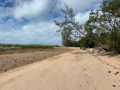 It turns out that  Clairview itself is the sanctuary; there is no specific part where the dugongs loiter. Our expectations of seeing a dugong plummet to zero. Despite that, Clairview is gorgeous.