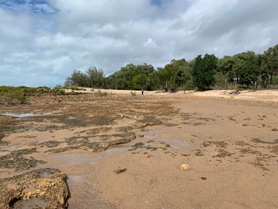 We walk along the beach front and it is completely untouched and undeveloped.  It is pretty much the same as when Captain Cook "discovered" it (forgetting for the moment that it was already the home of first nations peoples for 30-40,000 years before that).