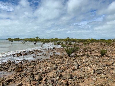 This beach is one of the few places a short drive off the PCW where you can actually see the ocean.