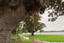 This is the Manning River. It is one of Australia’s few large river systems not to be dammed.