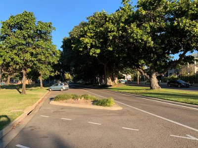 The Strand runs for about 3 kms from the Strand Rockpool in the North to the Port of Townsville in the South. Many of the trees date from the first European settlements.