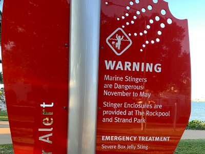 Most overseas visitors read gruesome stories about Australian shark attacks and are filled with horror. Their research never tells them about the two other very real (and statistically more likely) dangers in Qld;  sunshine and stingers. Box Jellyfish have caused at least 69 deaths in Australia since record keeping began in 1883 while those who don't die, suffer painfully.