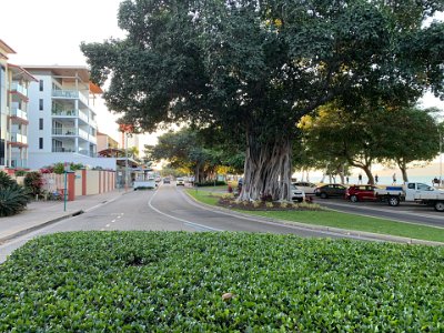 Around to our left are more Banyan trees. Historic 1888 photographs of The Strand show recently planted banyan trees and others only several years old.  It seems that more trees  of all kinds were planted along the waterfront during the early 1900's.