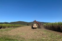 The Mackay region produces more than a third of Australia's sugar and has five locally owned sugar mills. Sugar harvesting is highly mechanised and the cane is no longer burnt prior to harvesting in most of Queensland.