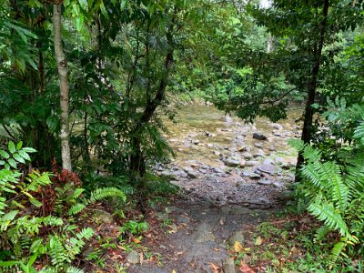 Even if never got any better than this, it wouldn't matter: a crystal clear stream in the midst of a tropical rainforest - and it's raining.