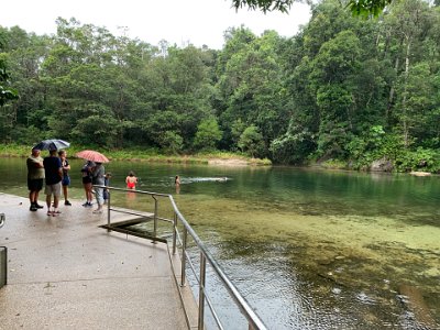 This is something from my long ago lost youth: fresh water so clean you can swim in it. Look at the dense tropical rain forest surrounding the water.