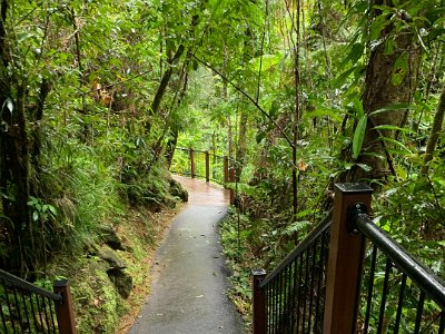 It is not an easy walk, my left ankle hurts, but just ahead is the "Boulders Gorge Lookout".