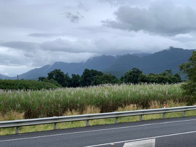 The rain clouds sit atop a mountain range of which Mount Bartle Frere is a part.